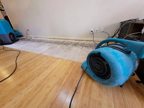 Professional Basement Flood Cleanup technician working in Coopersville, MI